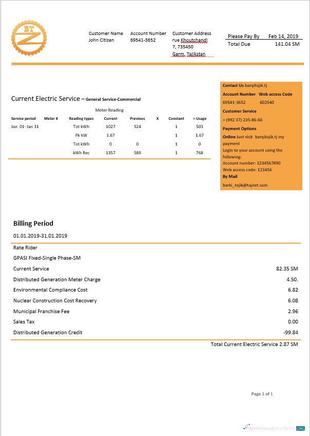 download download Tajikstan Barqi Tojik electricity bill in Word format